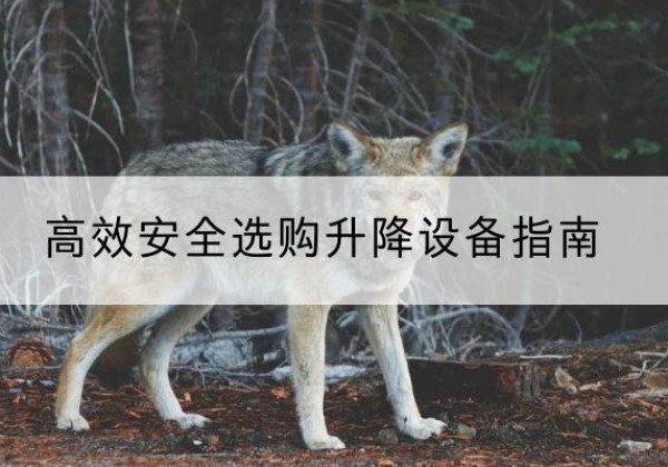 呼和浩特升降货梯厂家推荐-*安全选购升降设备指南