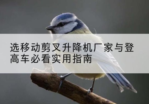 呼和浩特电动升降机厂家-选移动剪叉升降机厂家与登高车必看实用指南